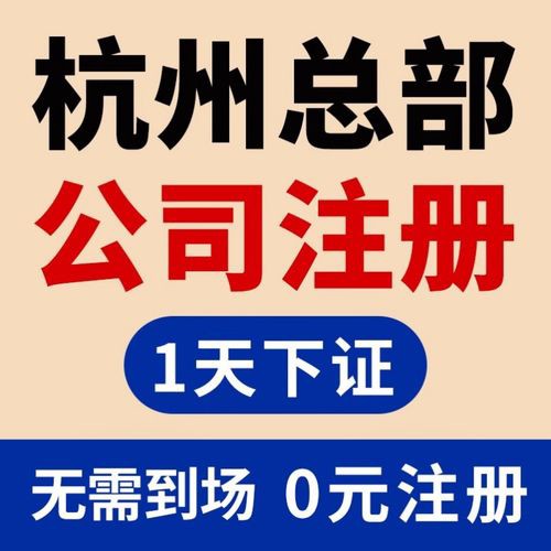 乐鱼app：代庖记账是什么