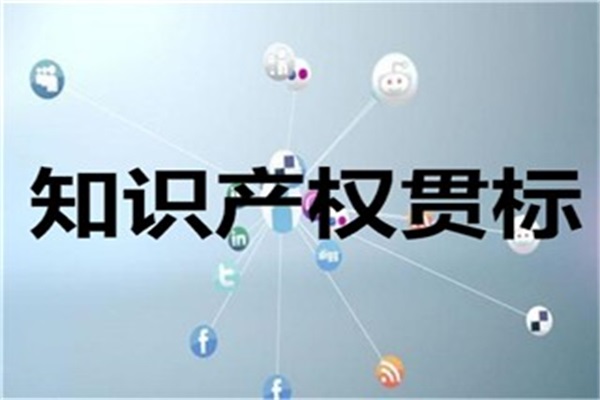 乐鱼app：深化学问产权运转机制厘革广西率先出台19项设施